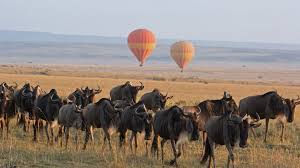 8 Days Lake Manyara/ Serengeti/ Ngorongoro Crater Safari